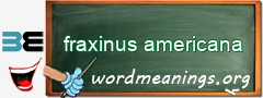 WordMeaning blackboard for fraxinus americana